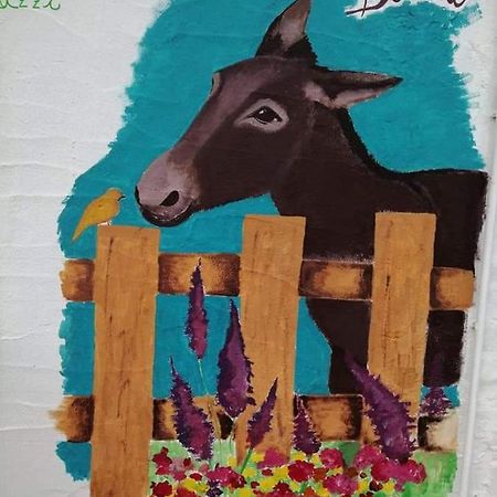 منزل الضيف سانتا تيريزا غالّورا  في Eucaliptus Farm Retreat المظهر الخارجي الصورة