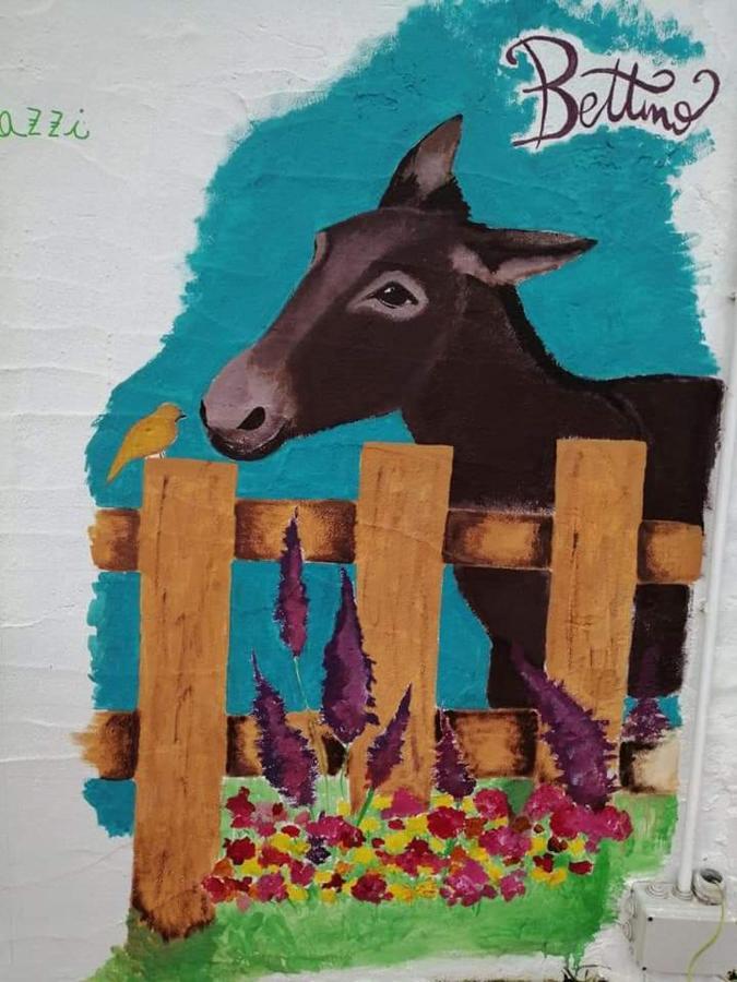 منزل الضيف سانتا تيريزا غالّورا  في Eucaliptus Farm Retreat المظهر الخارجي الصورة