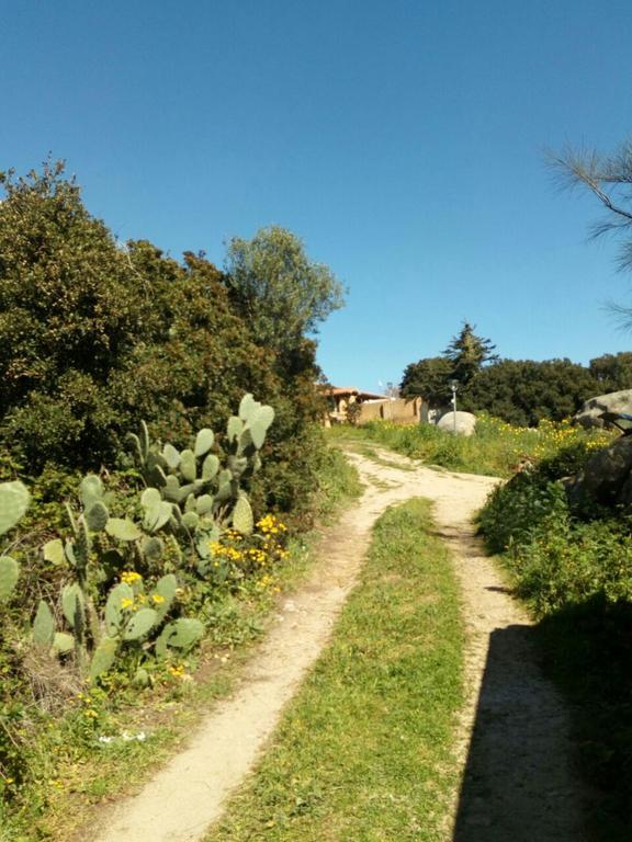 منزل الضيف سانتا تيريزا غالّورا  في Eucaliptus Farm Retreat المظهر الخارجي الصورة
