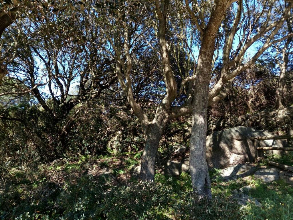 منزل الضيف سانتا تيريزا غالّورا  في Eucaliptus Farm Retreat المظهر الخارجي الصورة