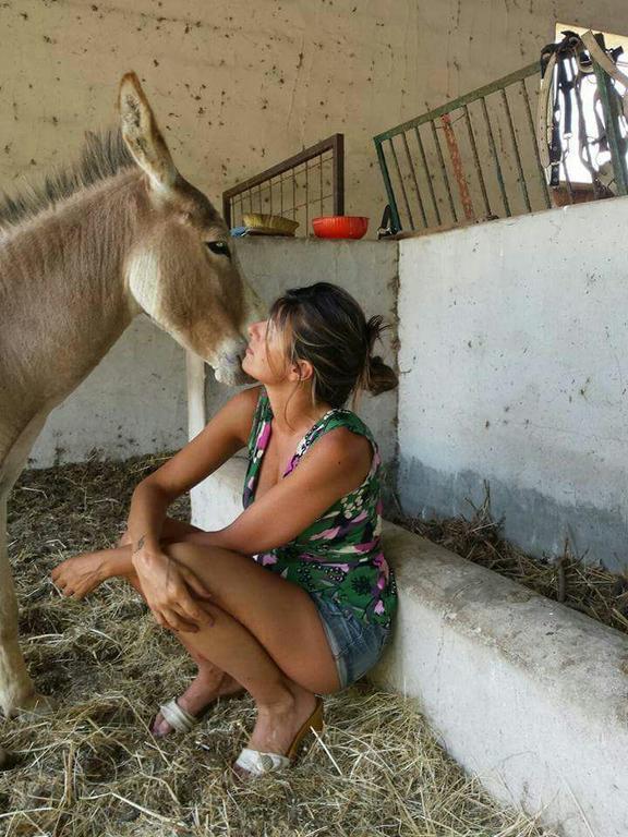 منزل الضيف سانتا تيريزا غالّورا  في Eucaliptus Farm Retreat المظهر الخارجي الصورة