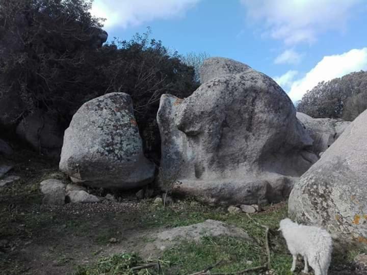 منزل الضيف سانتا تيريزا غالّورا  في Eucaliptus Farm Retreat المظهر الخارجي الصورة