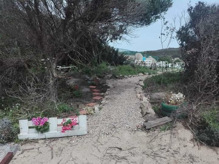 منزل الضيف سانتا تيريزا غالّورا  في Eucaliptus Farm Retreat المظهر الخارجي الصورة