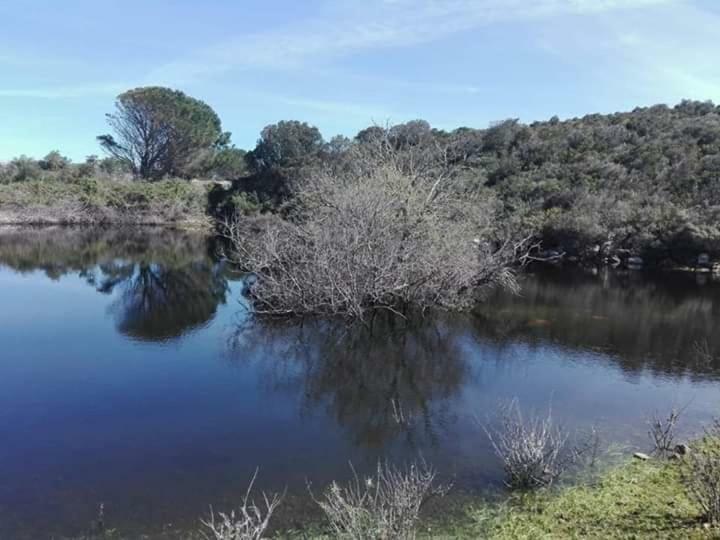 منزل الضيف سانتا تيريزا غالّورا  في Eucaliptus Farm Retreat المظهر الخارجي الصورة